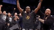 ufc 232 sport GIF by UFC
