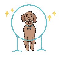 Duke Sticker