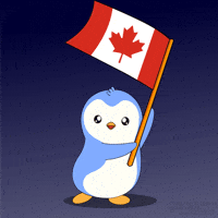 Canadian Penguin GIF by Pudgy Penguins
