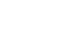 Shine Sorpresa Sticker