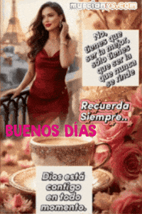 Amigos Recuerda GIF by Murcianys LLC