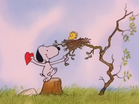 Cartoon gif. Snoopy stands on top of a tree trunk and throws a red heart at Woodstock who is perched in the nest of a tree. Woodstock's beak peeks through the heart, covering the rest of his face, as stars whirl around his head. 