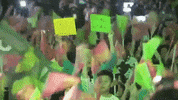 election taiwan GIF