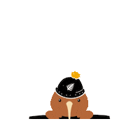 paralympicsnz paralympics winter paralympics beijing 2022 pnz Sticker