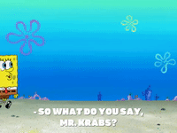 season 8 GIF by SpongeBob SquarePants