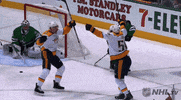 happy ice hockey GIF by NHL