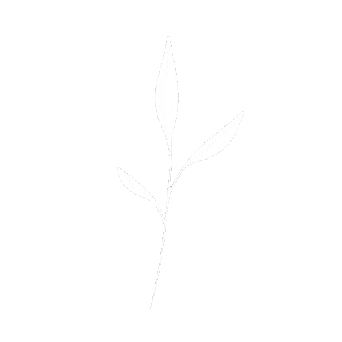 Plant Sticker