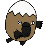 Platypus Fall Down Sticker