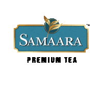 Green Tea Chai Sticker by Samaara Tea