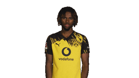 Borussia Dortmund Chukwuemeka Sticker by Bundesliga