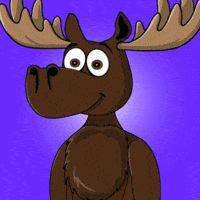DoYouMoose eyes looking web3 sherlock GIF