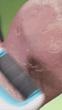 ezecoro2024 giphygifmaker GIF