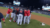 Major League Baseball Sport GIF by MLB