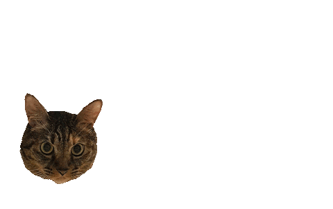 Monggu Sticker by Instagram Tag In Virtual GIF Booth