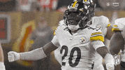 Pittsburgh Steelers Football GIF by NFL