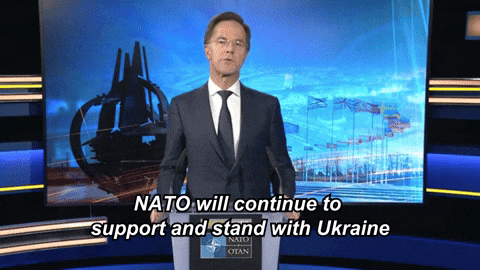 Strongertogether Otan GIF by NATO