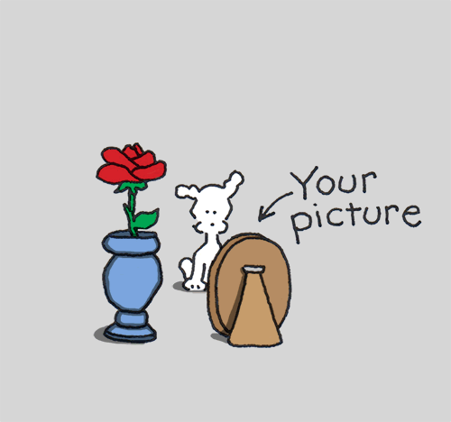 chippythedog giphyupload chippythedog GIF