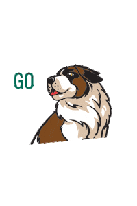 Gosaints Sticker by Siena College