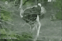 tu hora GIF