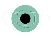 evoicl icl evo visian icl visian icl visual freedom Sticker