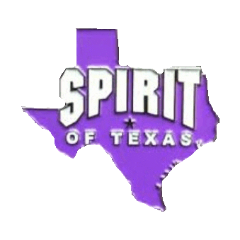 cheer cheerleading STICKER by imoji