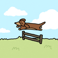 Sausage Dog GIF by Joguman Studio