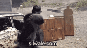 i want to play this GIF by Silwale