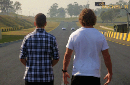 honey badger bachelor au GIF by The Bachelor Australia