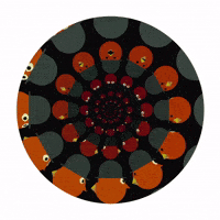 studioaka animation birds photoshop after effects GIF