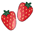 Illustration Fruit Sticker