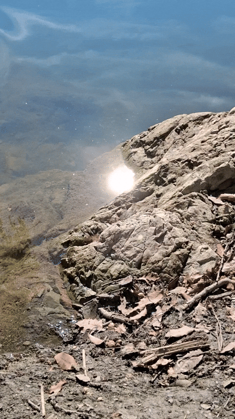 Simongip giphyupload GIF