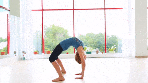 bodybuilding-and-fitness giphyupload most mostik GIF