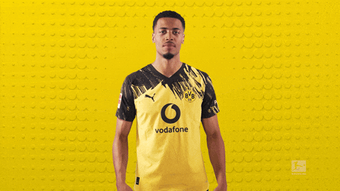 Borussia Dortmund Football GIF by Bundesliga