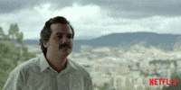 Narcos GIF by NETFLIX