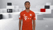 Serious Fc Bayern GIF by Bundesliga