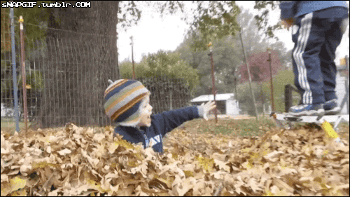 kid GIF