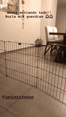 GIF by Acapulco Shore