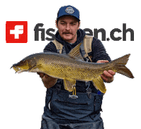 fischench fishing angeln barbe flyfishing Sticker