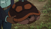 Turtle Give GIF by Adult Swim