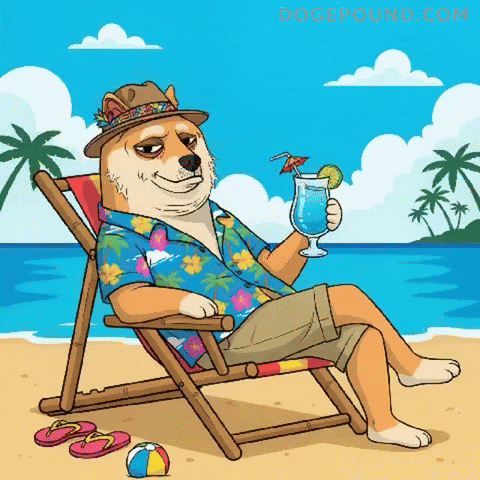 Out Of Office Drinking GIF by Doge Pound