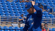 Blue Jays Mlb GIF by Toronto Blue Jays