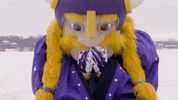 Minnesota Vikings Football GIF by Viktor the Viking