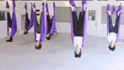 Upside Down Relax GIF