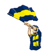 futbol mac Sticker by Passolig