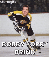 Minnesota Wild Hockey GIF