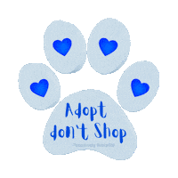 Cat Adopt Sticker by Pawzitively Beautiful