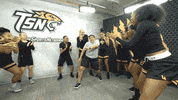 towsonuniversity dance celebrate clapping oh yeah GIF