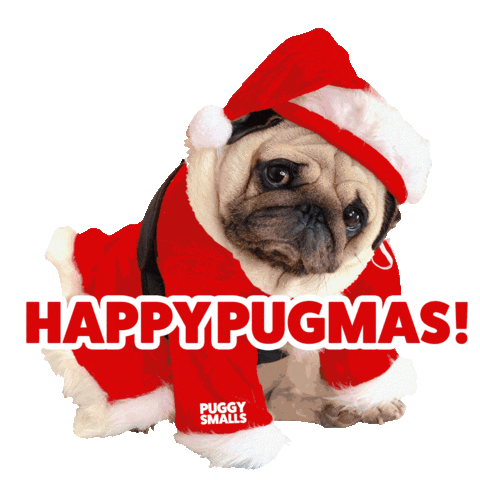 Merry Christmas Sticker by Puggy Smalls