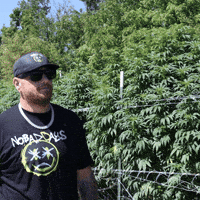 Plant Grow GIF by Exclusive Brands