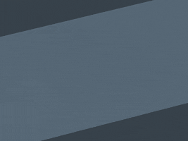 beer drinking GIF by LooseKeys